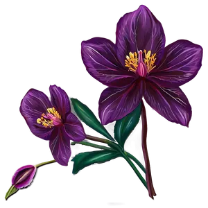 "essence Of Elegance: Flower PNG" A