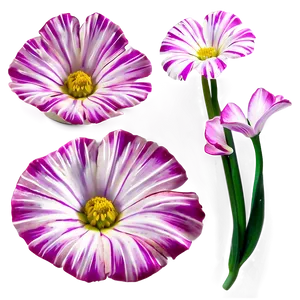 "essence Of Elegance: Flower PNG" D