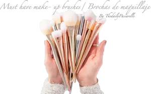 Essential Makeup Brushes Collection
