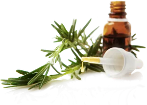 Essential Oil Dropperand Rosemary Branch PNG