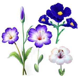 "eternal Blooms: Timeless Flower PNG" A