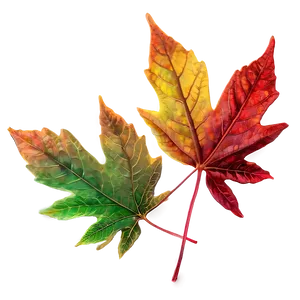 Ethereal Autumn Leaves PNG 59 PNG