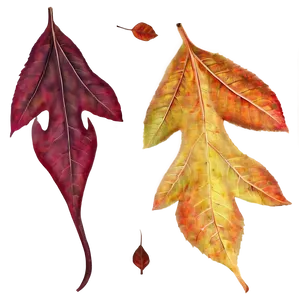 Ethereal Autumn Leaves PNG Xqi PNG