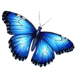 Ethereal Blue Butterfly Png 72 PNG image
