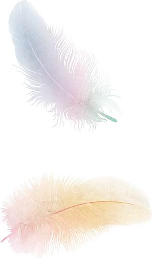 Ethereal Feathers Artwork PNG image