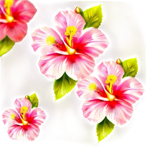 Ethereal Hibiscus PNG Sqw87