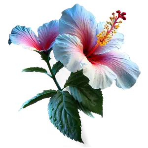 Ethereal Hibiscus PNG Vvy