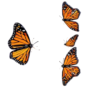 Ethereal Monarch Butterflies PNG 06252024