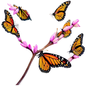 Ethereal Monarch Butterflies PNG Imm PNG