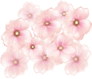 Ethereal Pink Blossoms PNG image
