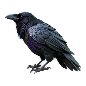 Ethereal Raven PNG 68 PNG