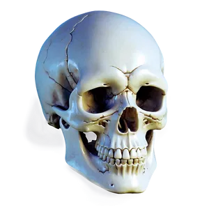 Ethereal Skull Figure PNG B