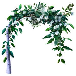 Eucalyptus Branch Arch PNG Qje PNG