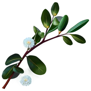 Eucalyptus Branch With Flowers Png Hvy PNG image