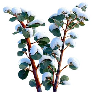 Eucalyptus In Snow PNG Chp41 PNG