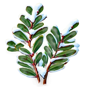 Eucalyptus In Snow PNG Ktn PNG