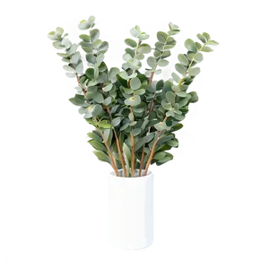 Eucalyptus In Vase Png 8 PNG image