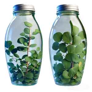 Eucalyptus Infused Water PNG 05242024 PNG