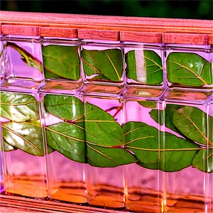 Eucalyptus Infused Water PNG Prb PNG