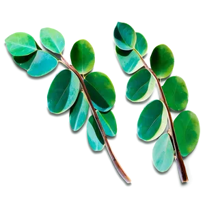 Eucalyptus Leaves Craft PNG Qle7 PNG