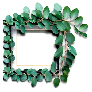 Eucalyptus Leaves Frame PNG 40 PNG