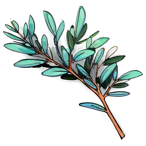 Eucalyptus Leaves Sketch PNG Qiv PNG