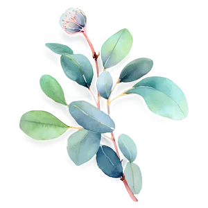 Eucalyptus Leaves Watercolor Png 06272024 PNG image