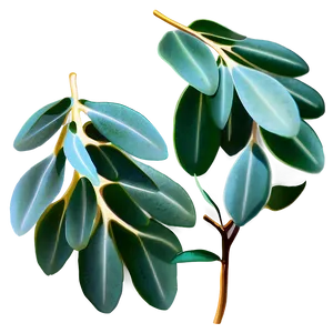 Eucalyptus Monochrome Art PNG 40 PNG