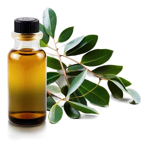 Eucalyptus Oil Massage PNG 05242024