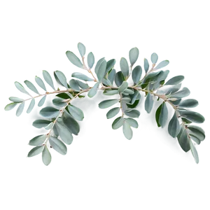 Eucalyptus Table Centerpiece PNG 39 PNG