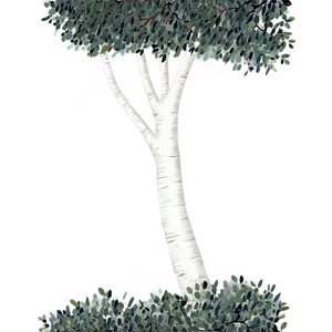 Eucalyptus Tree Canopy PNG Pyq55 PNG