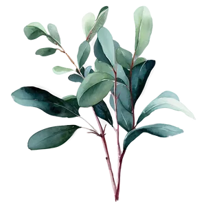 Eucalyptus Watercolor Desktop Wallpaper PNG 06272024 PNG
