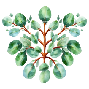 Eucalyptus Watercolor Desktop Wallpaper PNG Nte37 PNG