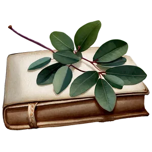 Eucalyptus Watercolor Diary PNG Ali44