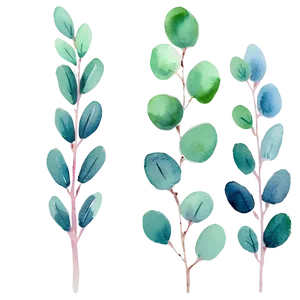 Eucalyptus Watercolor Fabric Design PNG Kkb81 PNG