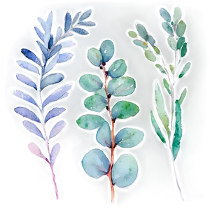 Eucalyptus Watercolor Menu Design PNG Whg