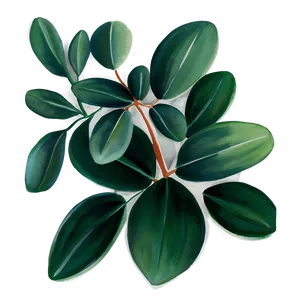Eucalyptus Watercolor Phone Wallpaper PNG 06272024