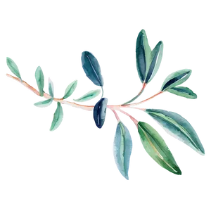Eucalyptus Watercolor Scarf Design PNG 2 PNG