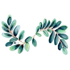 Eucalyptus Watercolor Scarf Design PNG 29