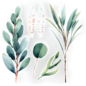 Eucalyptus Watercolor Set Png Ocx PNG image