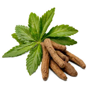 European Herb PNG 1 PNG