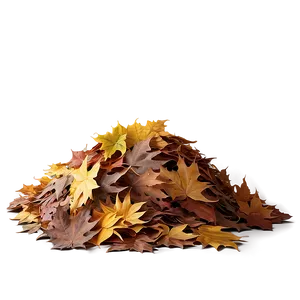 Evening Leaf Pile PNG 06202024