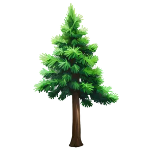 Evergreen Cedar Tree PNG 99 PNG
