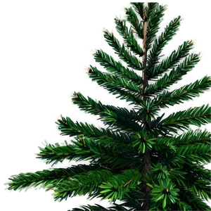 Evergreen Fir Tree PNG Sbm75 PNG