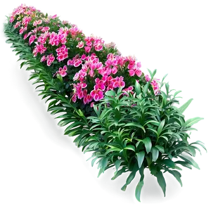 Evergreen Flower Bed PNG Mjc