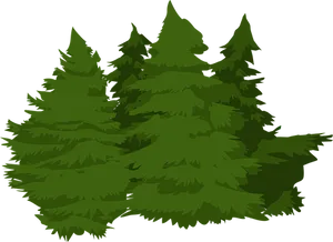 Evergreen Forest Illustration