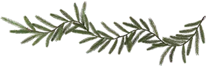 Evergreen Garland Branch.png PNG image