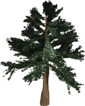 Evergreen Nighttime Illustration