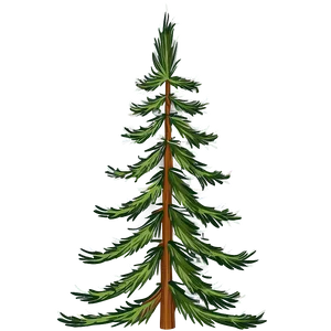 Evergreen Pine Tree Png 06212024 PNG image