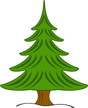Evergreen Pine Tree Vector